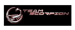 Team Scorpion